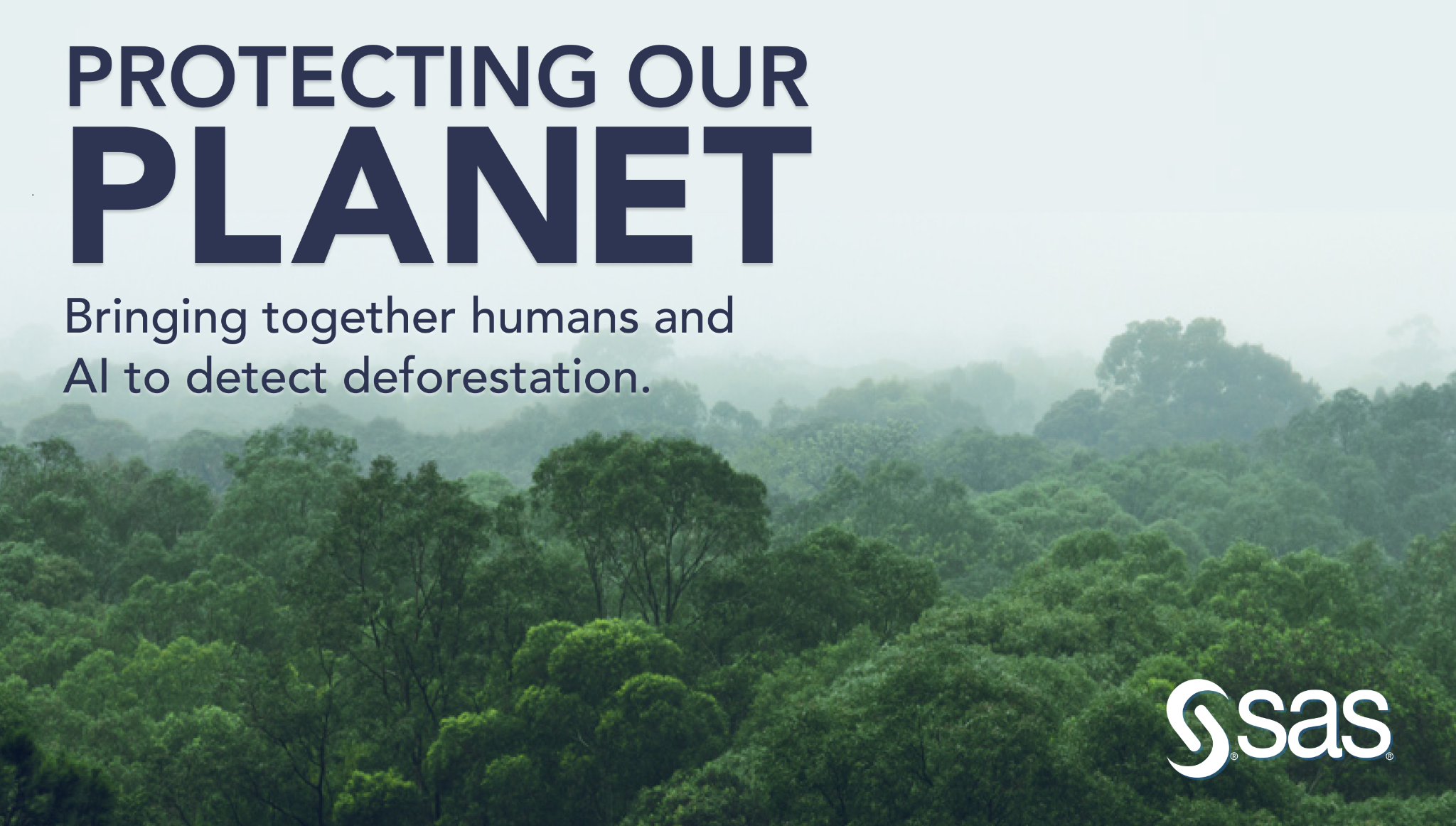 Protecting Our Planet project cover