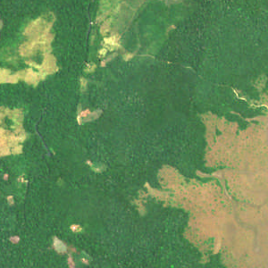 Burned clearing example