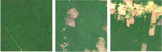 Human-made field comparison