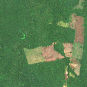 Fields example