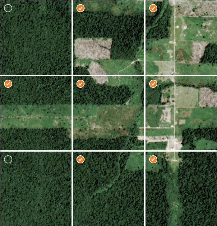 Example classification image divided into regions